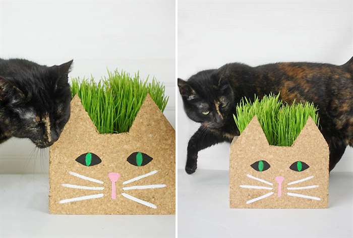 gifts for everyone cat planter