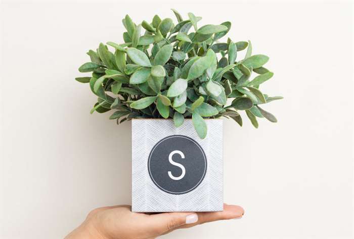 housewarming gift ideas monogram plant holder