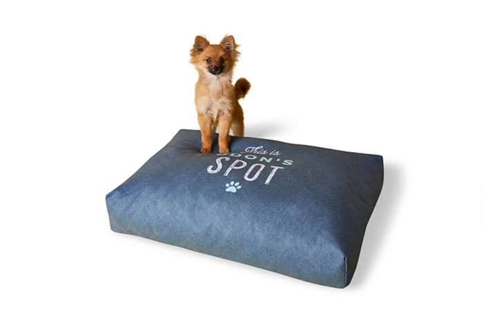 dog sitting on custom pet bed