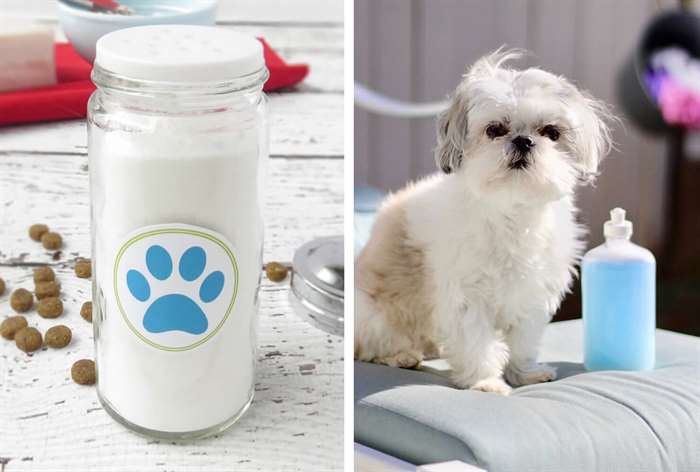 small long-haired dog with homemade dry shampoo for dogs