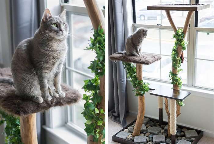 cat sitting on a leafy jungle themed cat tree