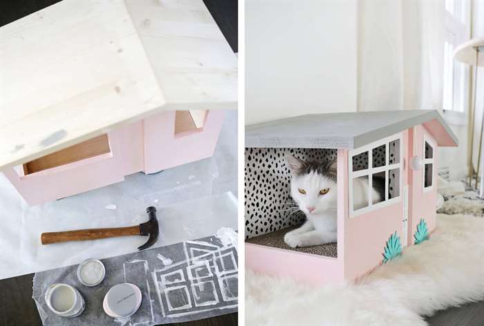 cat sitting in a diy tiny house scratching board