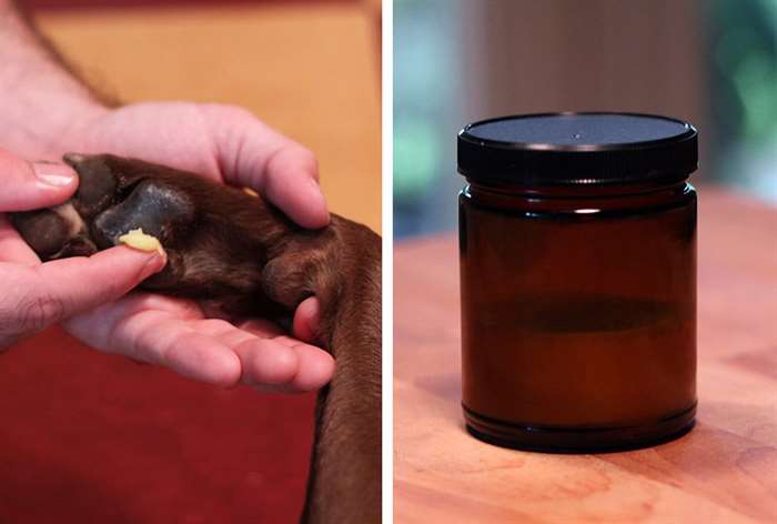 person applying homemade paw balm for a dog