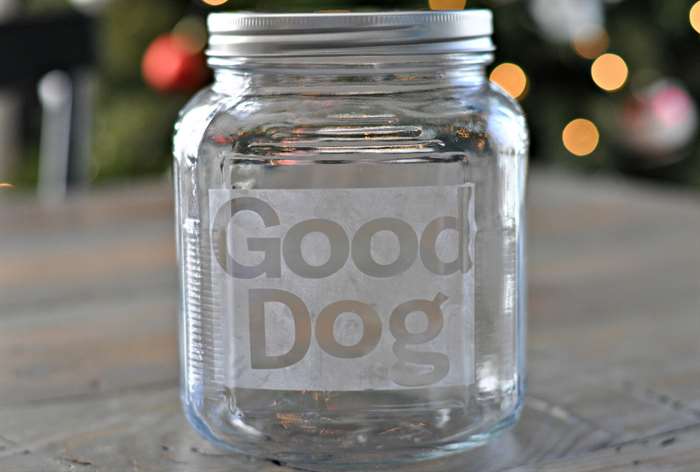 diy frosted glass dog treat jar