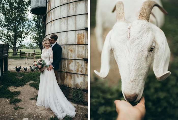 barn wedding ideas couple goat