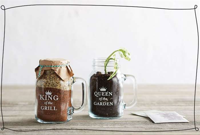 Mason jars filled with a plant and spices sit on a counter