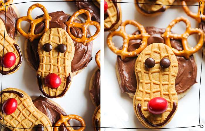 reindeer treats sit on counter