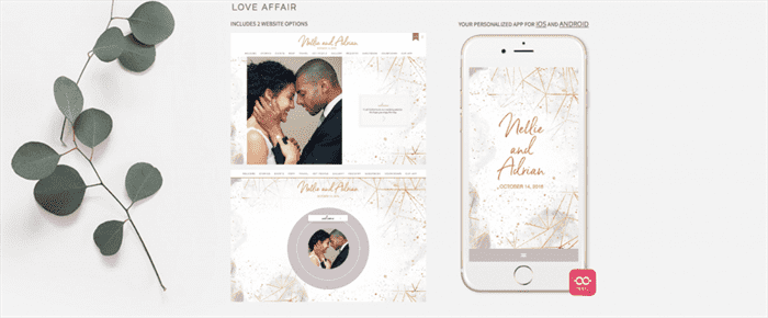 Appy Couple wedding website screenshot and example.