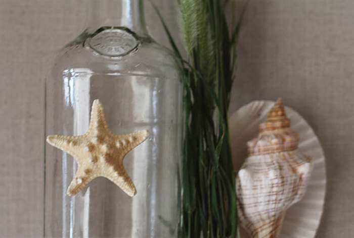 glass bottle with a dried starfish glued on the front