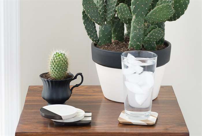 minimal concrete coasters with cacti