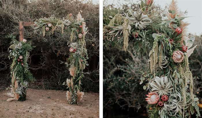 lush greenery air plants altar