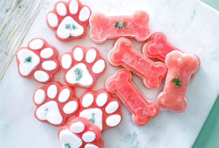 watermelon paw-shaped and bone-shaped treats