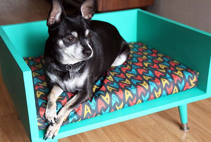 dog on a mid-century dog bed