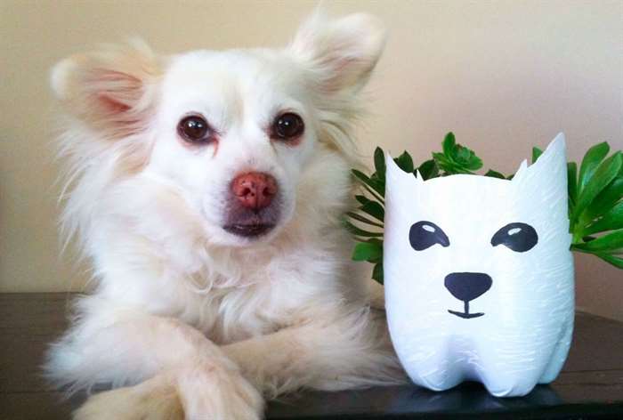 planter next to the dog that inspired it