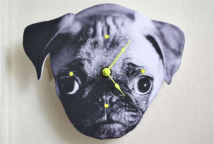 wall clock with a pug's face