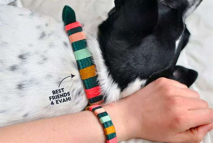 dog and owner with matching friendship bracelet and collar