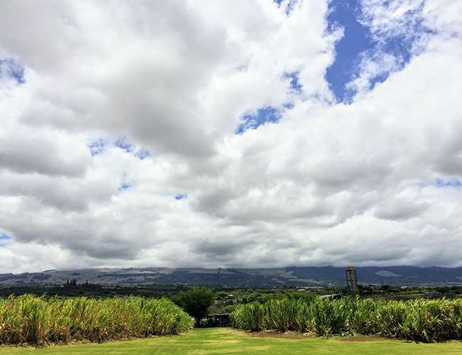 Hướng dẫn du lịch đến Maui, Hawaii