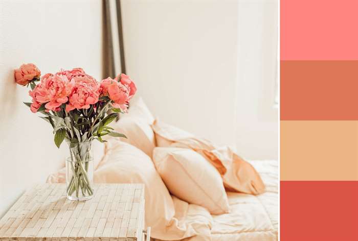 rose and neutrals
