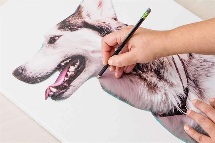1640059609 110 DIY Dog Canvas Art de the hien hinh bong thu