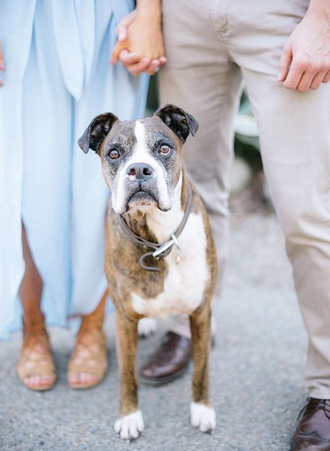 1640082837 448 Anh ve Old Town San Juan Capistrano Engagement