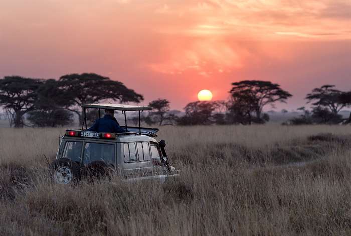 Safari Châu Phi lúc hoàng hôn