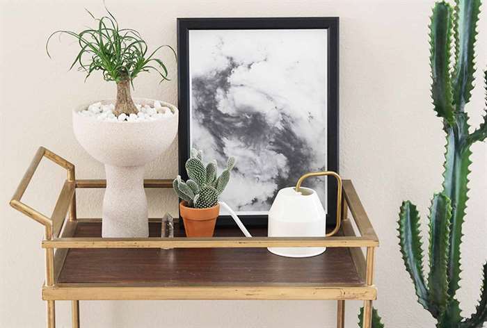 indoor plant decor curvy plant pot