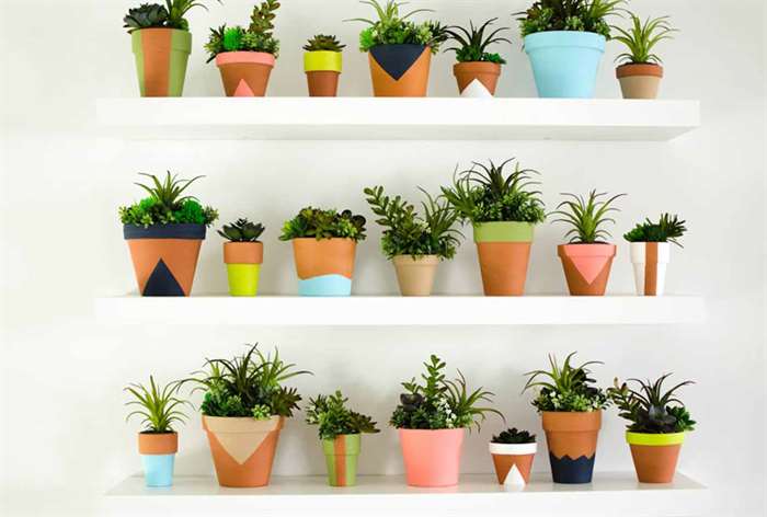 indoor plant decor wall shelving plants