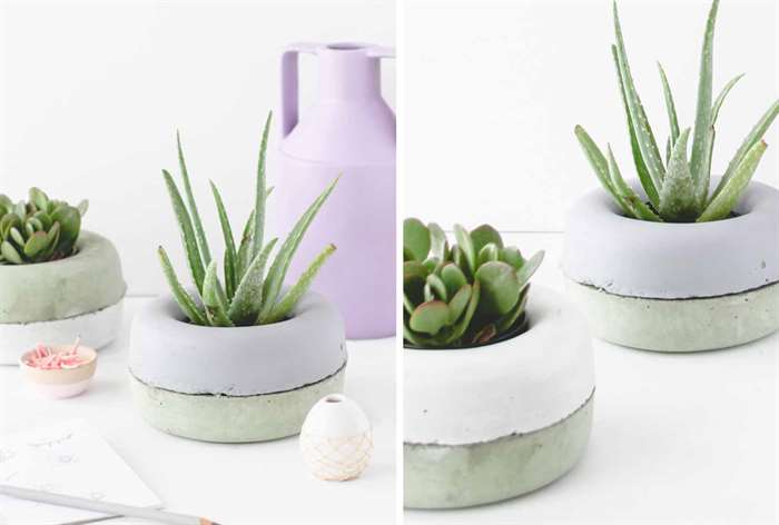 indoor plant decor doughnut hole planter