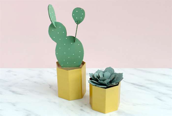 diy patio cardboard cactus pots width=