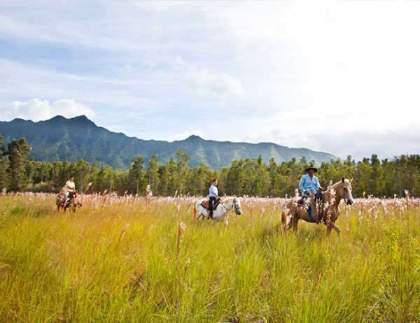 Hướng dẫn du lịch của chúng tôi đến quần đảo Hawaii - Lấy cảm hứng từ điều này