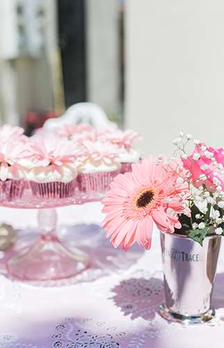 Blush Steel Magnolias Bridal Shower - Lấy cảm hứng từ điều này