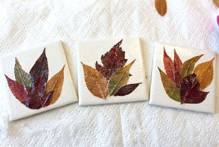 Leaf Coasters