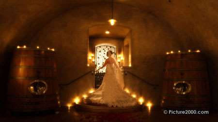 1640649069 554 250 San Francisco Wedding Photographers For Your Big Day