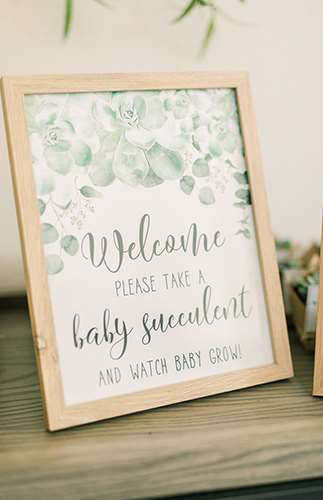 Greenery Woodland Baby Shower 