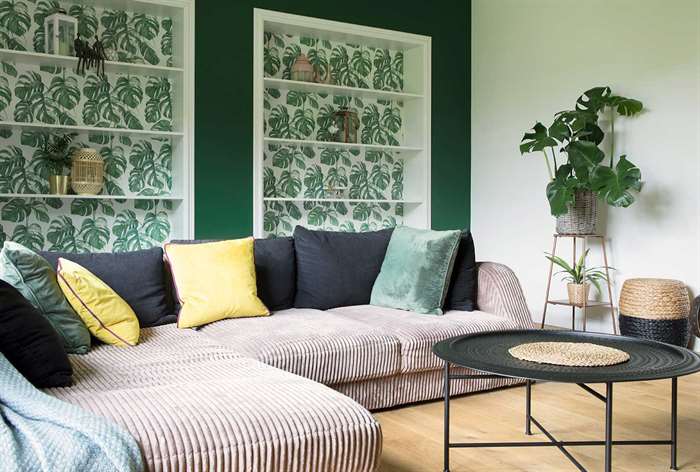 Grey couch in front of green wall with shelves.