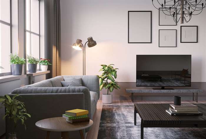 Living room with gray couch.