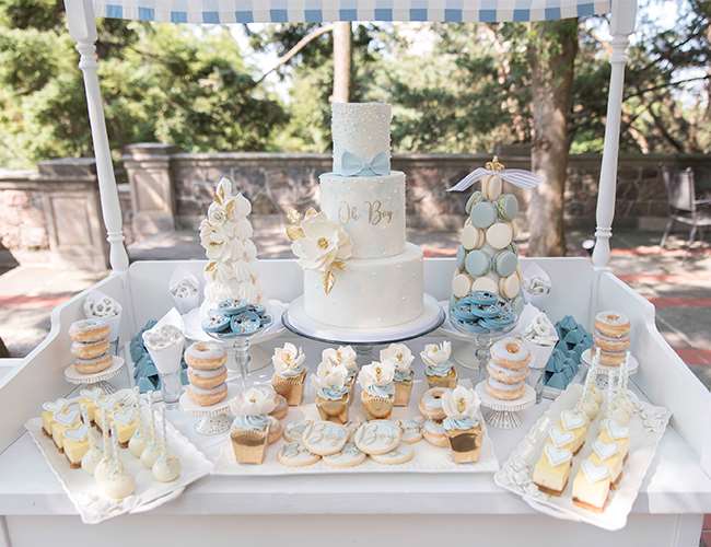 Pastel Blue Garden Baby Shower