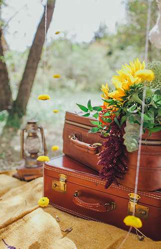 Woodsy Vintage Engagement Photos - Lấy cảm hứng từ điều này