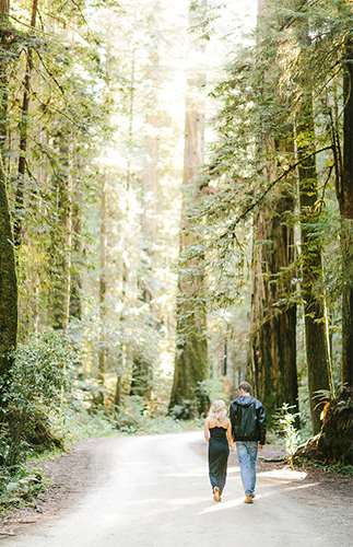 Ảnh về Redwood Forest Engagement