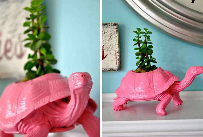 pink tortoise succulent planter