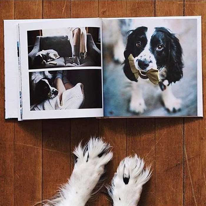 My Furry Friend photo book