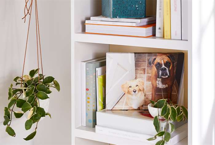 Canvas print of docs on shelf. 