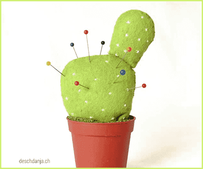 Nỉ cây xương rồng pincushion