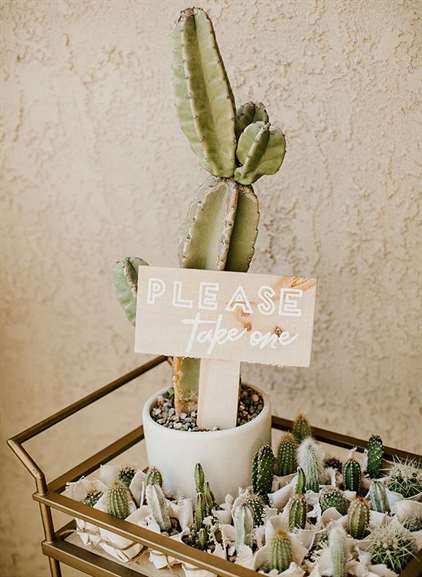 1640997203 451 Boho Cactus Baby Shower