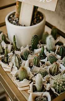 1640997204 856 Boho Cactus Baby Shower