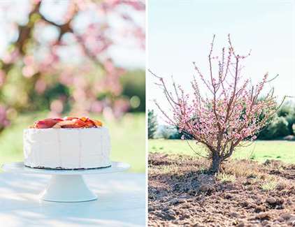 Cherry Blossom Bridal Inspiration