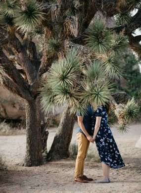 Joshua Tree Maternity