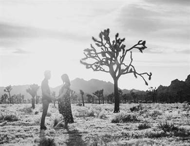 Joshua Tree Maternity