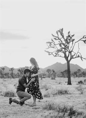 Joshua Tree Maternity