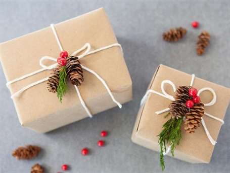 Nature-Inspired Christmas Gift Wrap